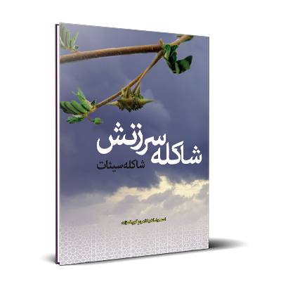 شاکله سرزنش؛ شاکله سیئات