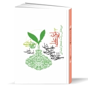 دوره‌های رشد تفکر اجتماعی: بلوغ عقلی؛ دوره آراستگی به آداب و احسان