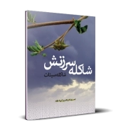 شاکله سرزنش؛ شاکله سیئات